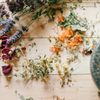 Icon representing natural herbal components